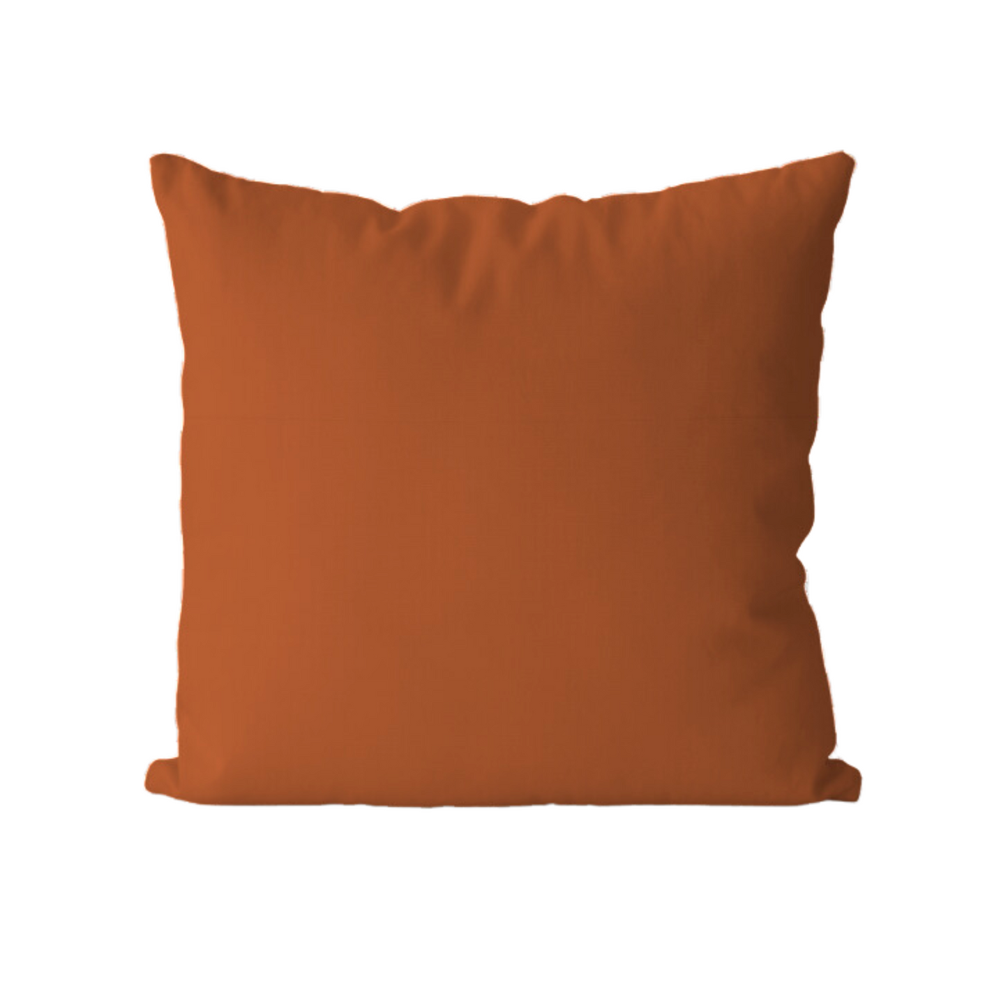 Cojin Colección home 2025- Naturaleza abstracta terracota