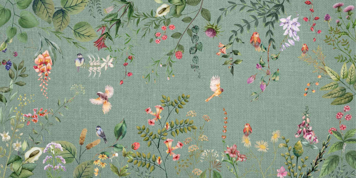 Banco de imágenes - aves- little birds