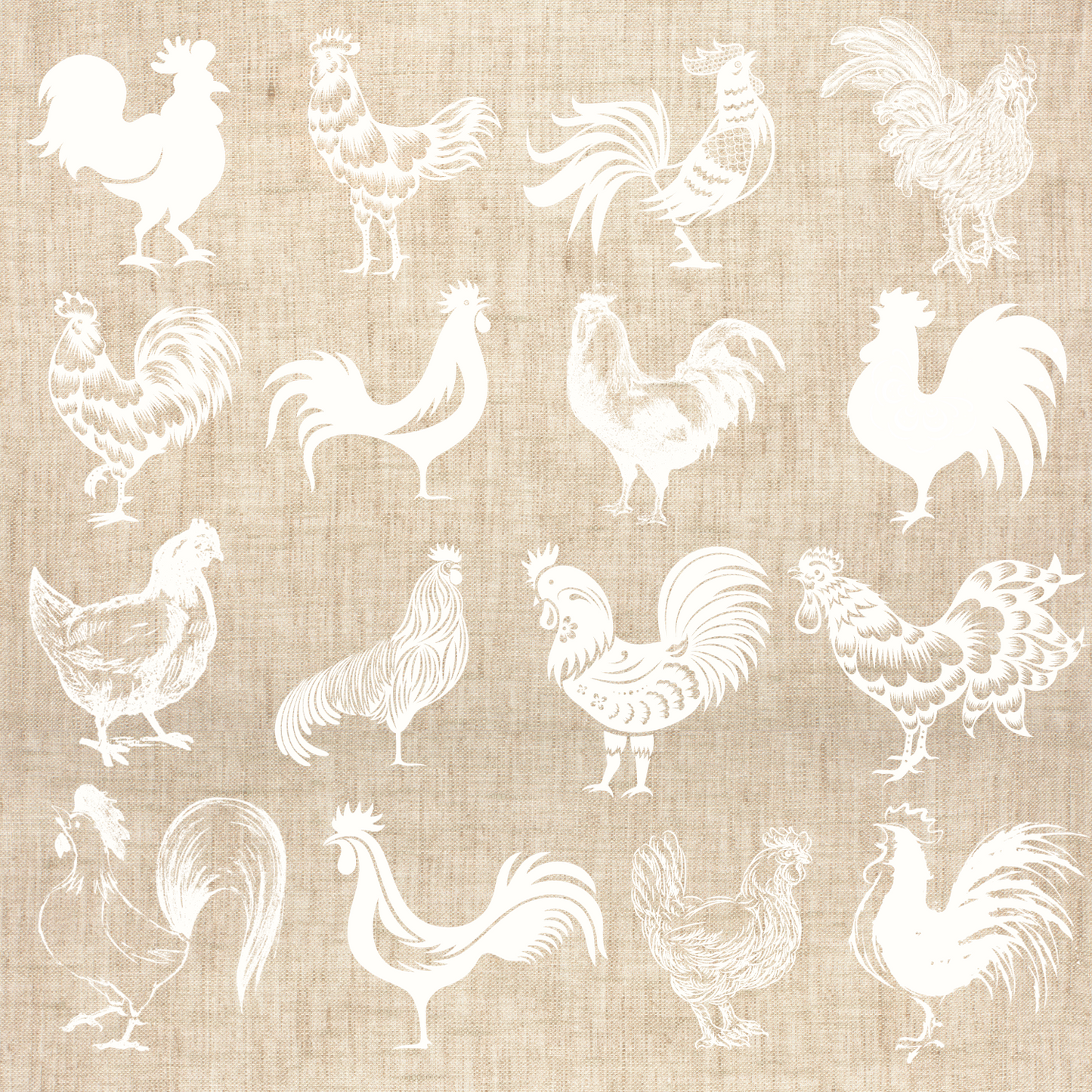 Colección Banco de Imágenes - Gallinas/ Gallos