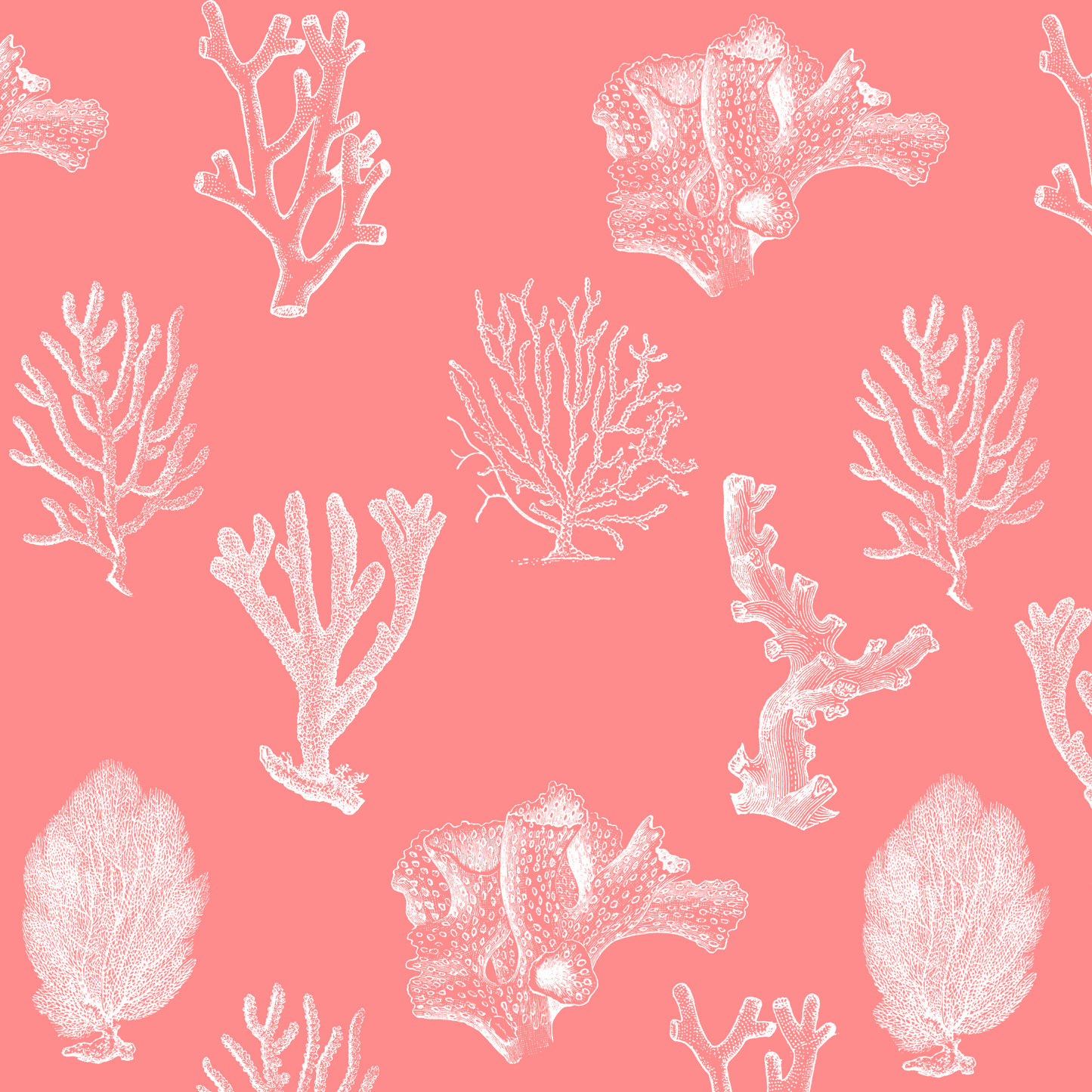 Banco de Imágenes - Mar