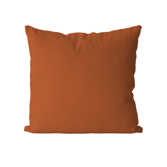 Cojin  Colección home 2025- Naturaleza abstracta terracota