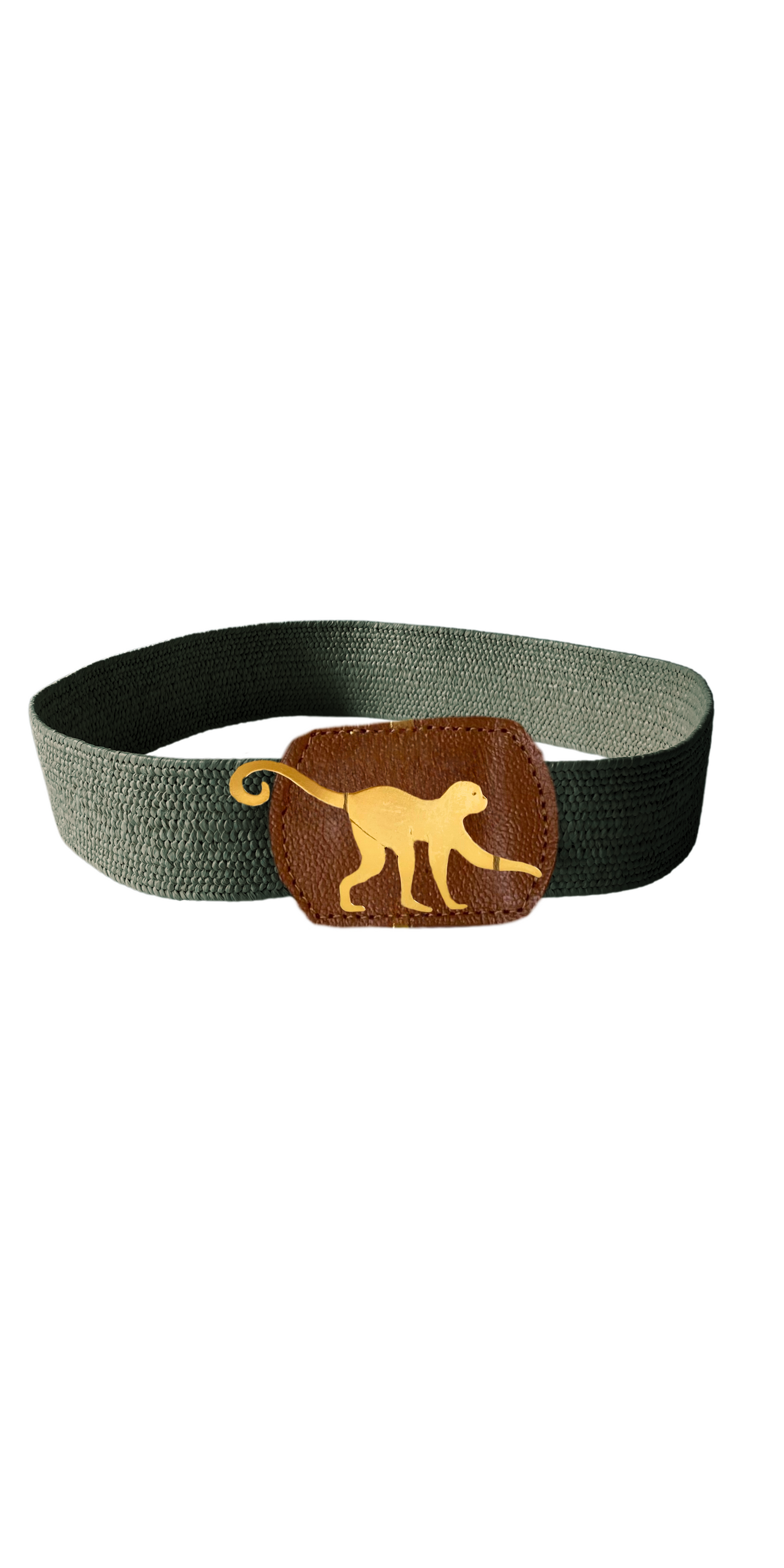 Colección Correas- Correa delgada mico 5 colores