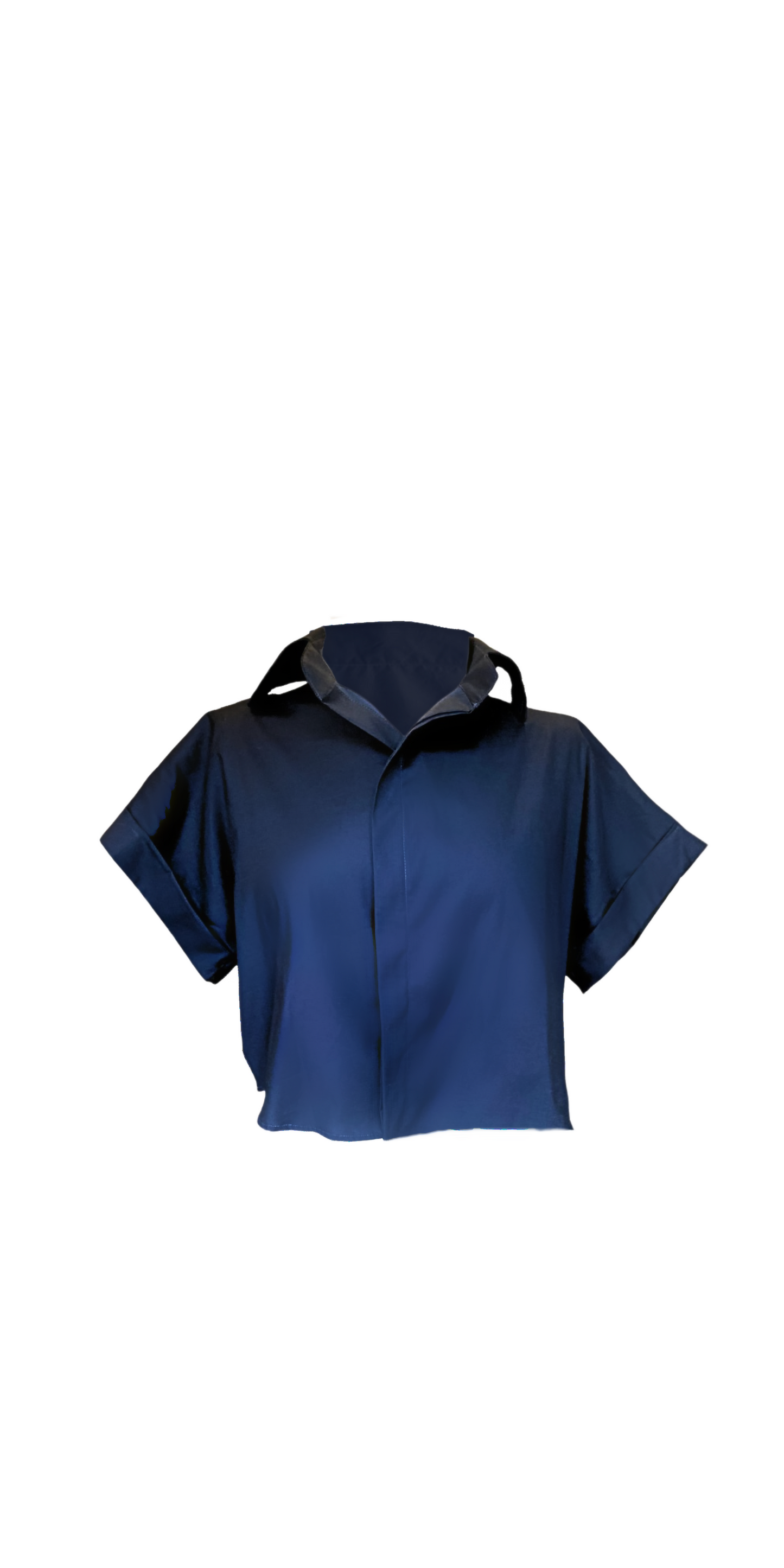 Colección Looks- vestido y blusa loros azules