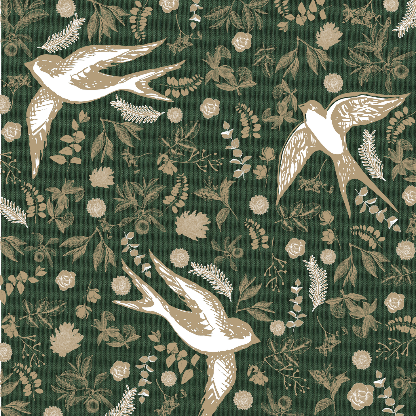 Colección Banco de Imágenes - Aves