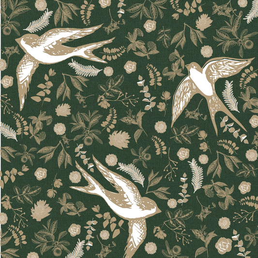 Colección Banco de Imágenes - Aves