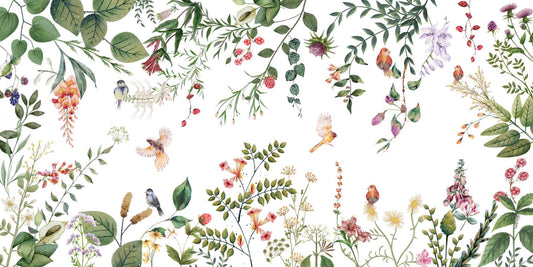 Banco de imágenes - aves- little birds