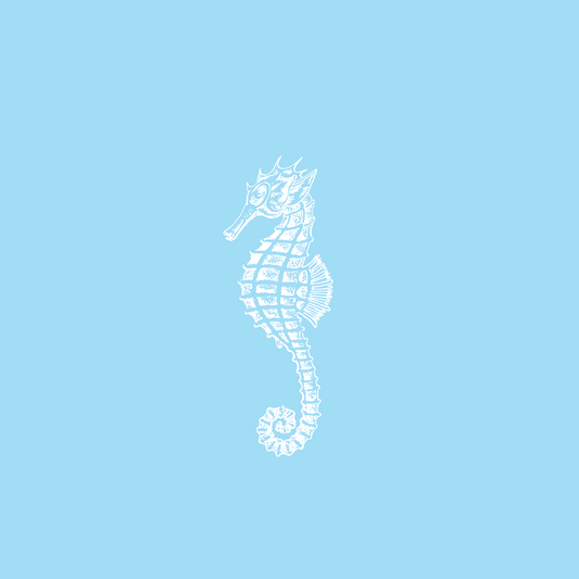 Colección Banco de Imágenes - Mar